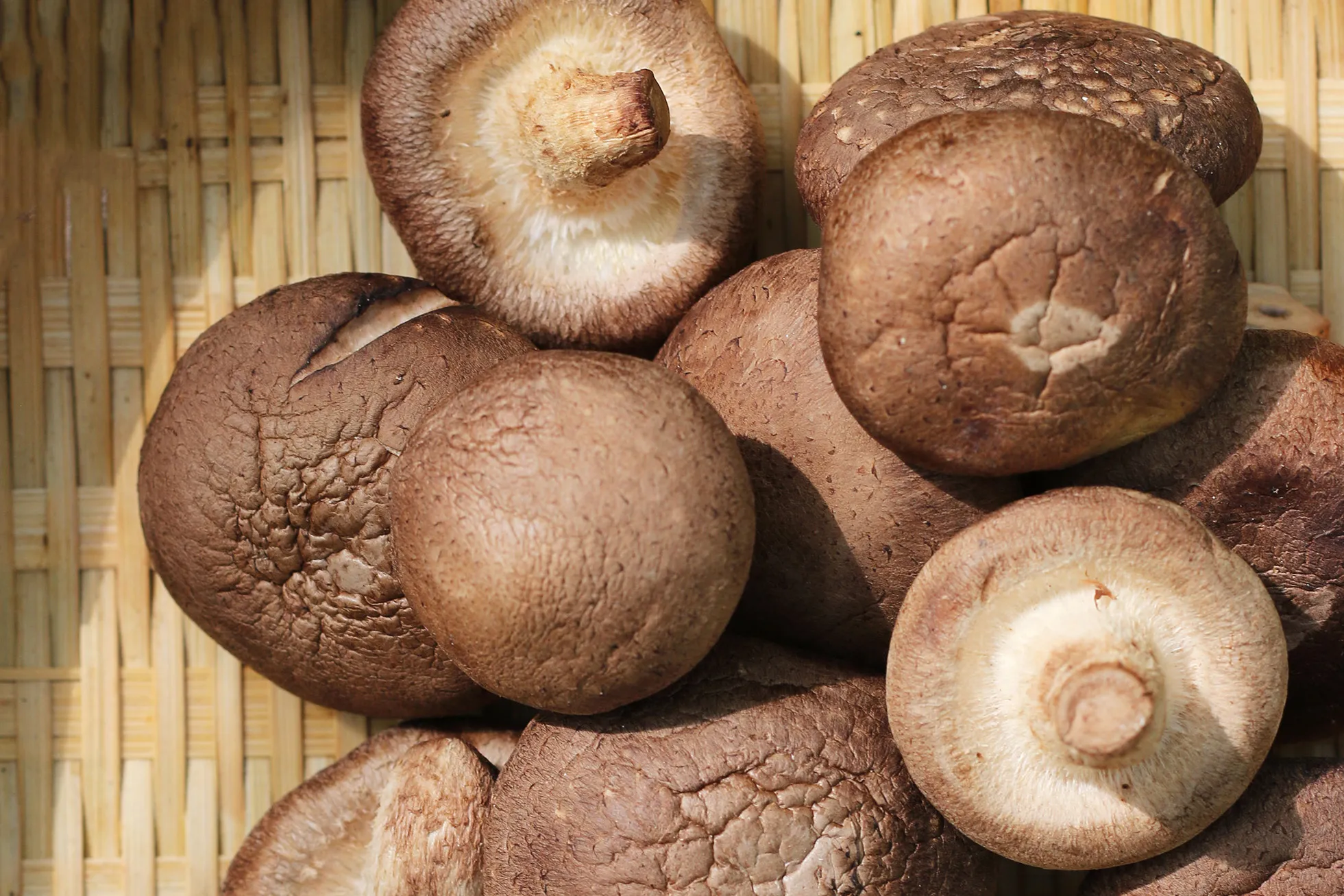 A crossed out European emblem