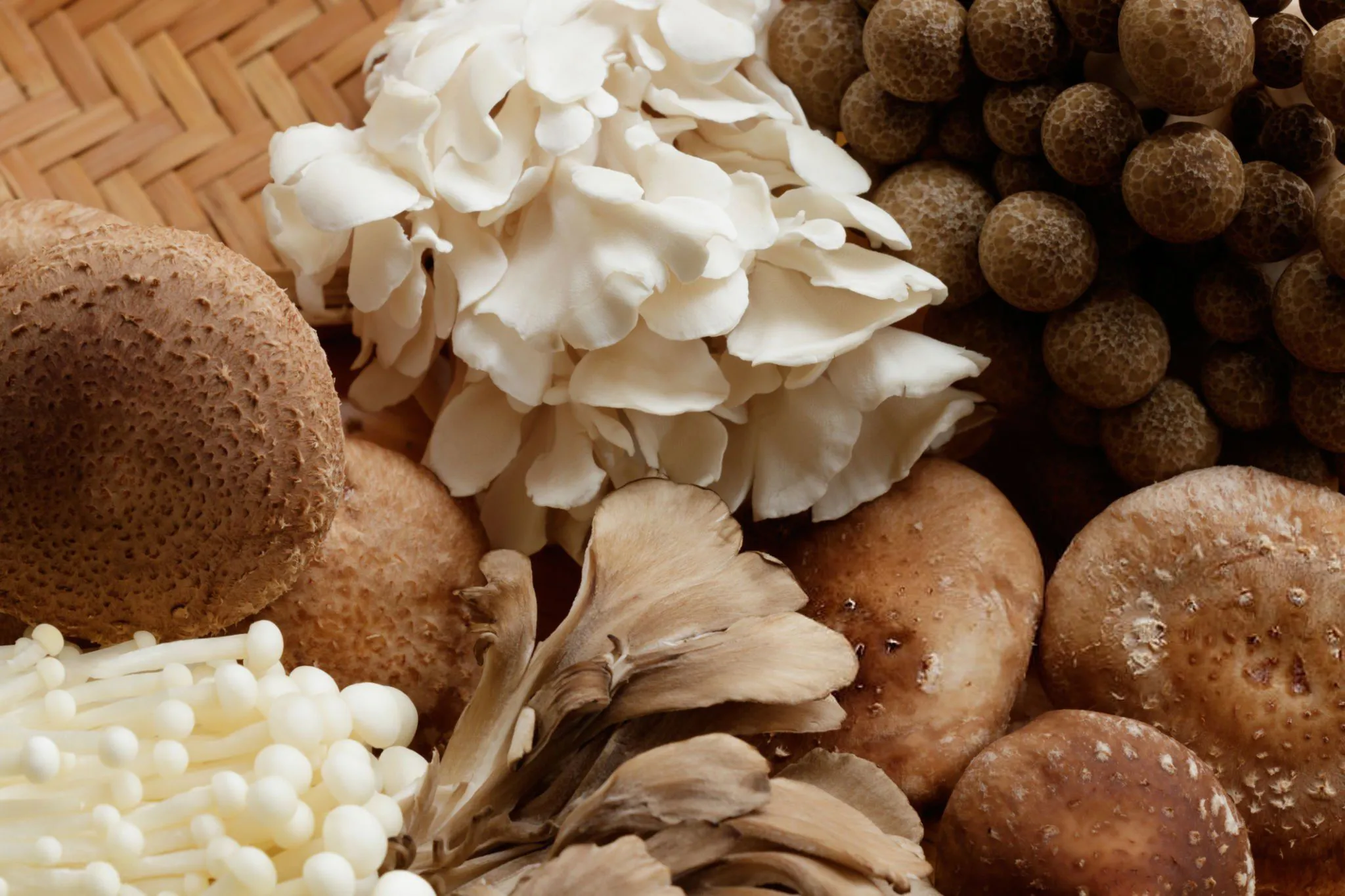 A crossed out European emblem