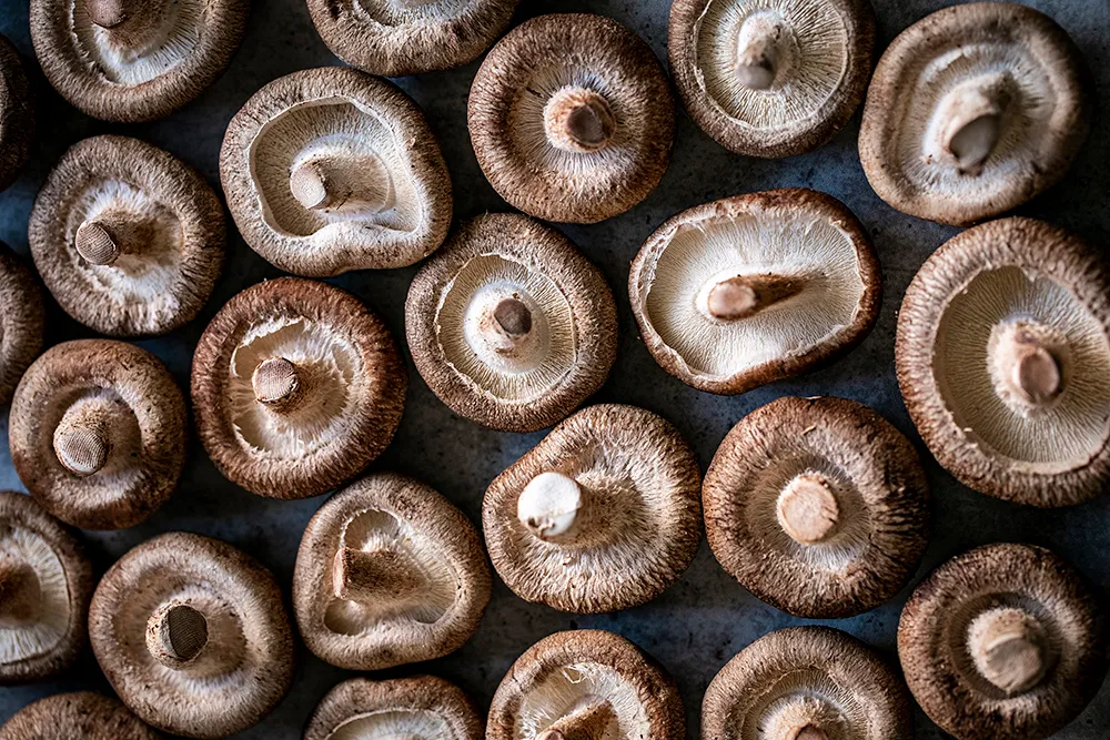 A crossed out European emblem